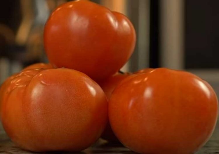 King Taco Red Sauce Recipes Delicious Cooks