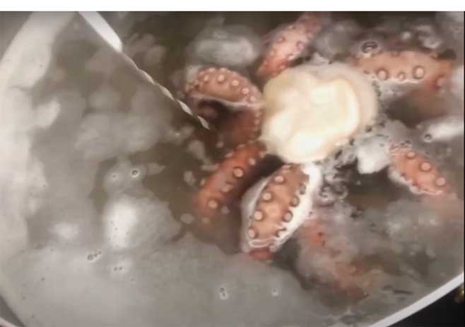 Put The Octopus In Pot And Start Boiling