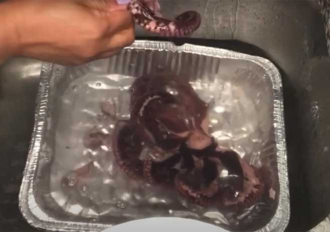 Take Out The Octopus From Boiling And Clean Up