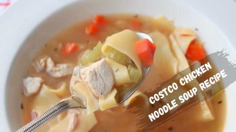 Costco Chicken Noodle Soup Recipe