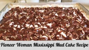 Pioneer Woman Mississippi Mud Cake Recipe
