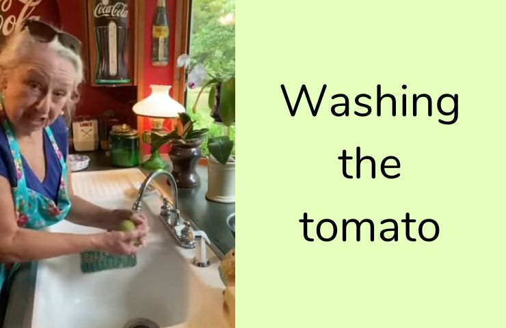 Step 1: Washing the tomato